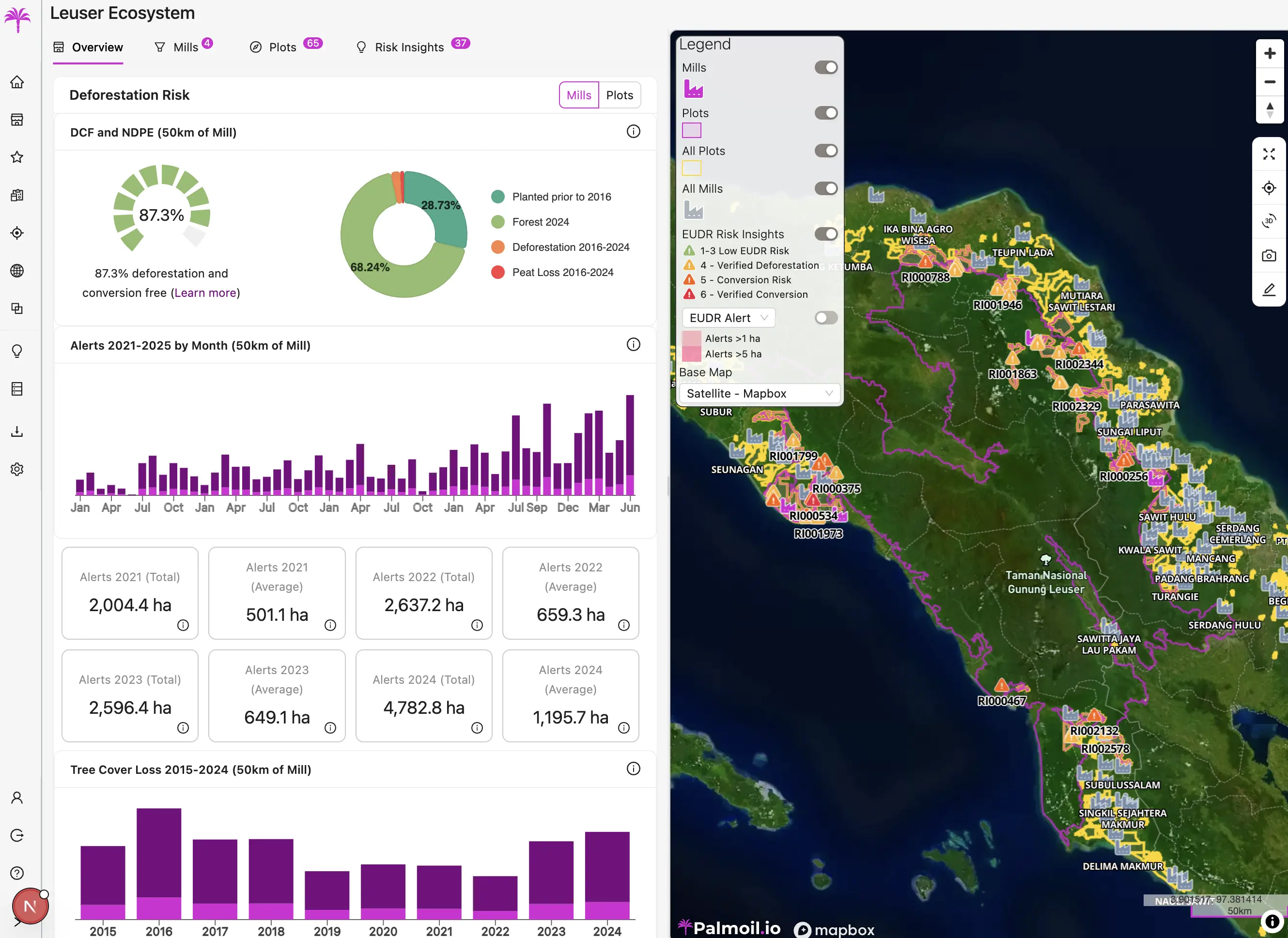 Forest in the Leuser Ecosystem