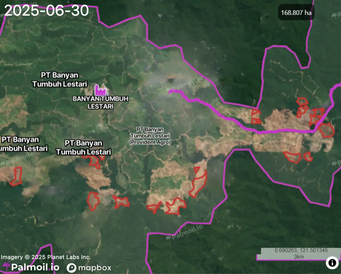 Example plantation map